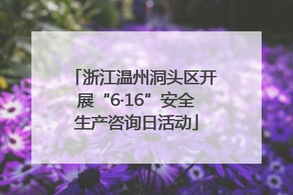 浙江温州洞头区开展“6·16”安全生产咨询日活动